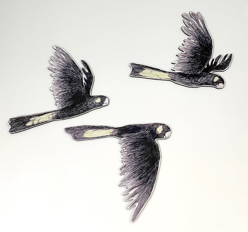 Australian Aviary ~ Wall Decorations ~ Yellow-tailed Black Cockatoos (set of 3)