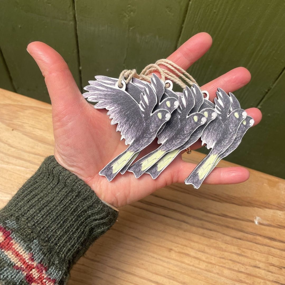 Six Yellow-tailed Black Cockatoo Christmas Ornaments