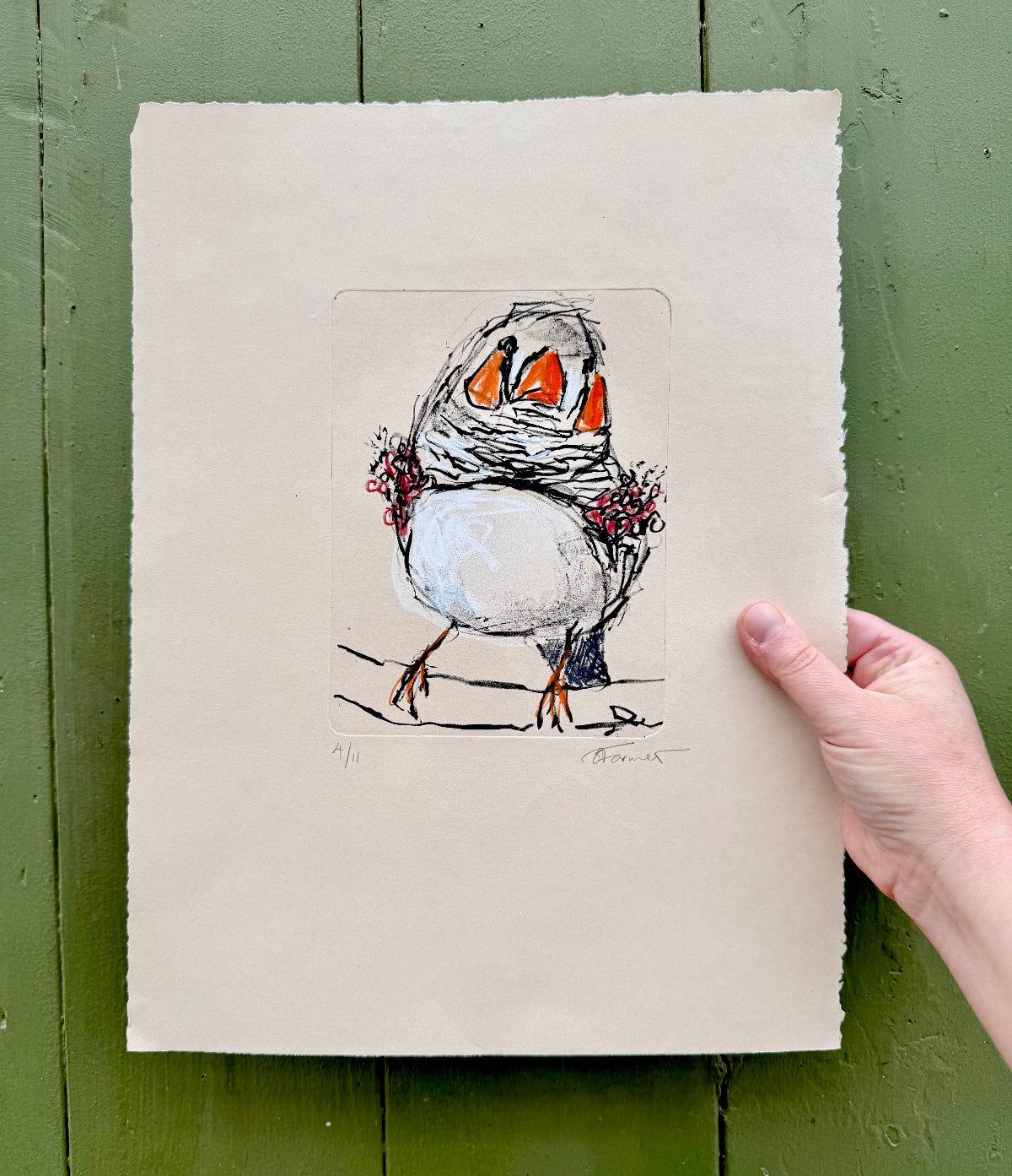 hand pulled litho print of a zebra finch with oil pastel added by artist bridget farmer