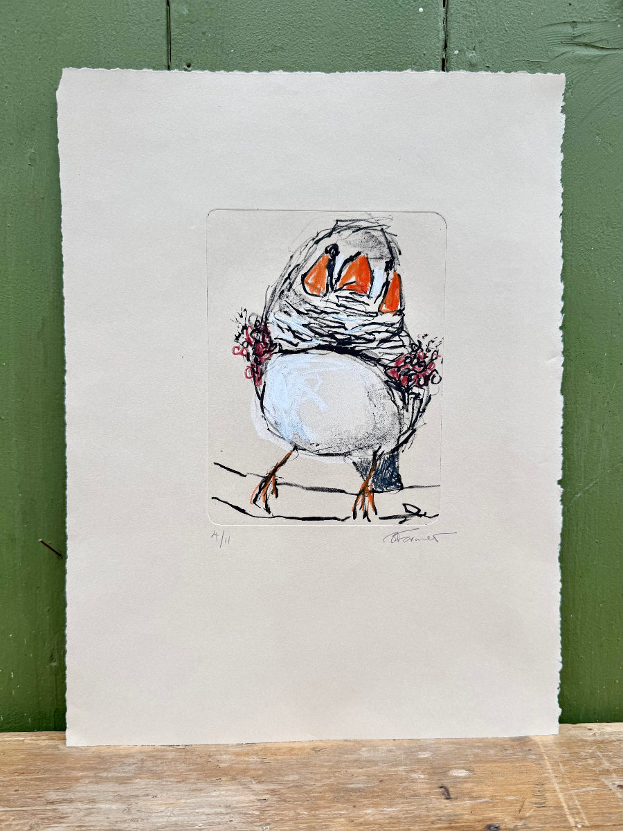 hand pulled litho print of a zebra finch with oil pastel added by artist bridget farmer