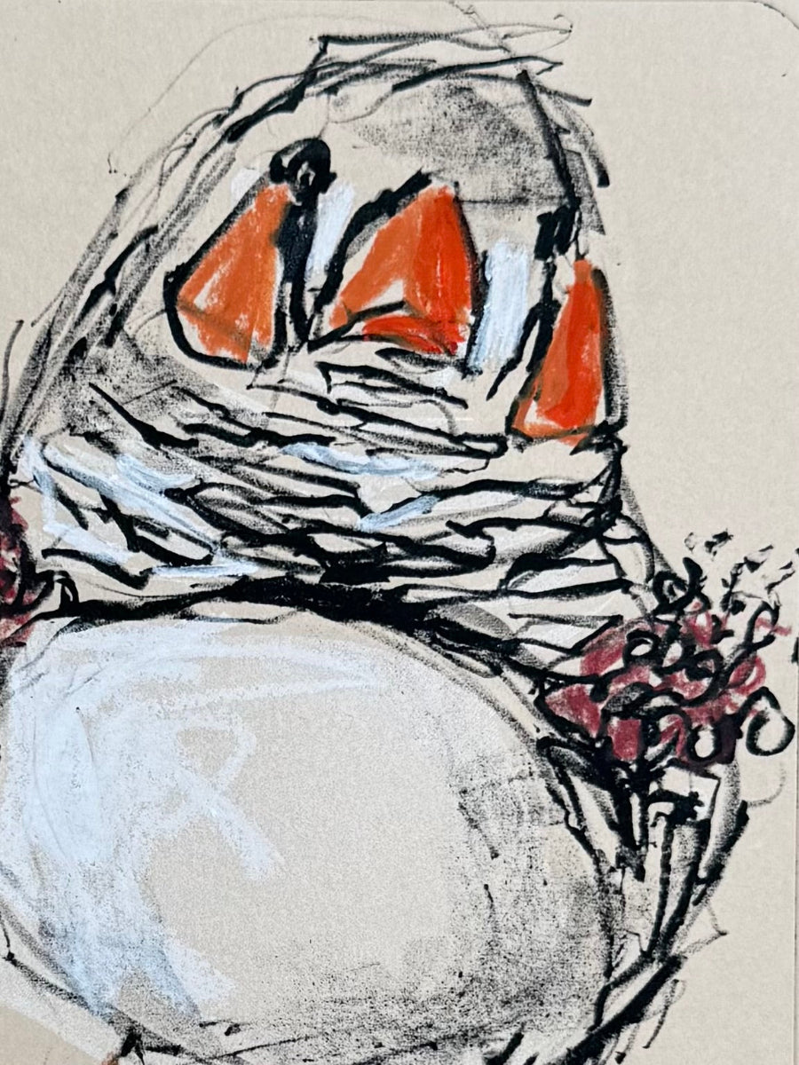 detail of a hand pulled litho print of a zebra finch with oil pastel added by artist bridget farmer
