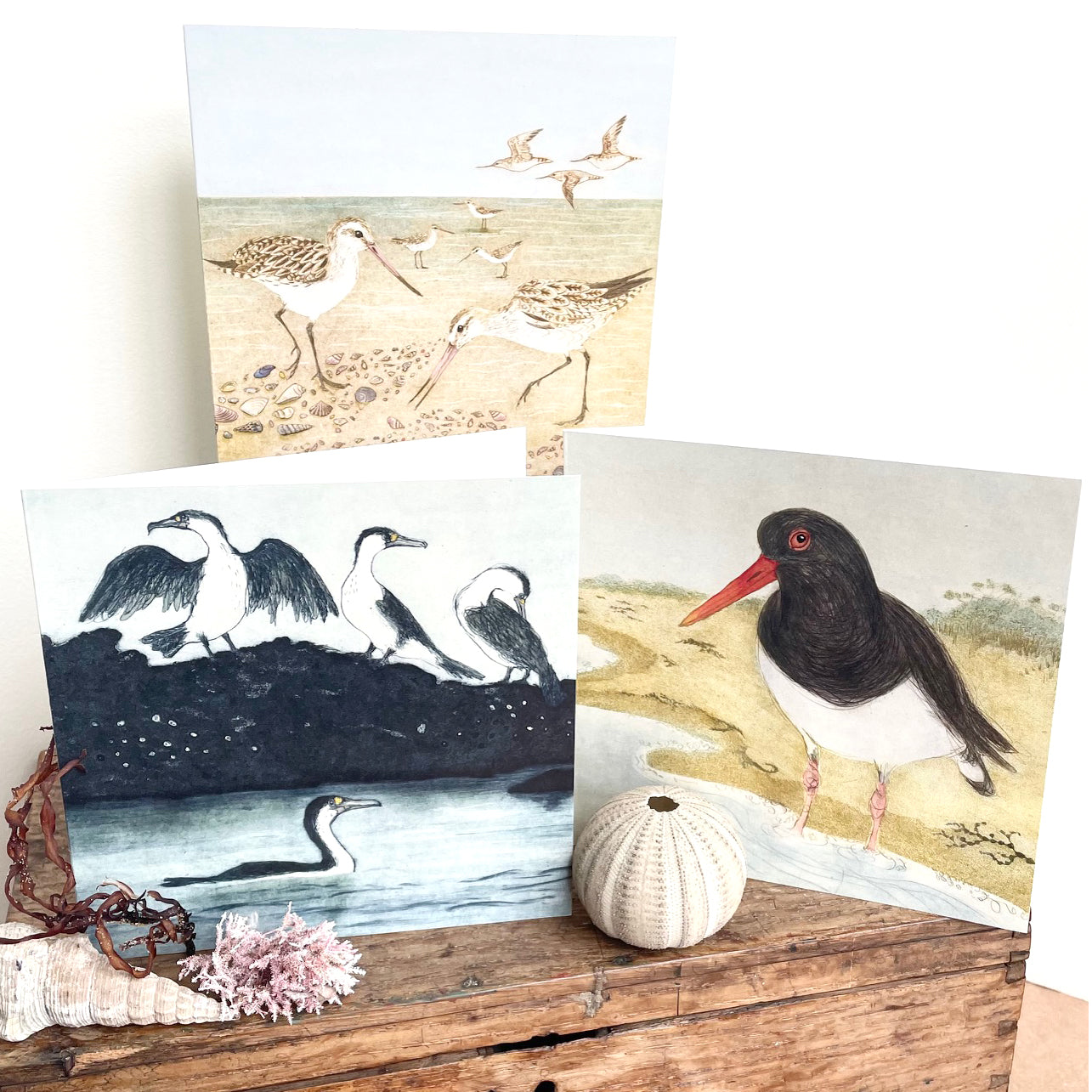 The Beach Birds - 6 Greeting Cards