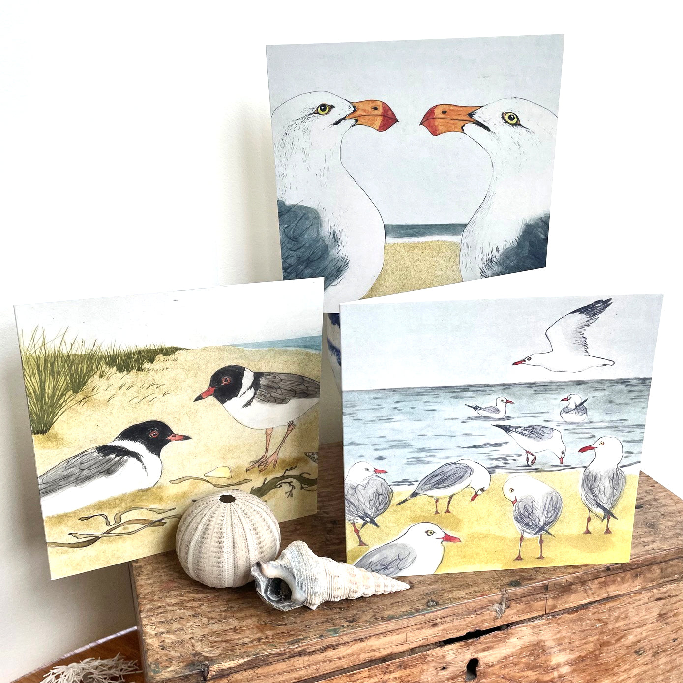 The Beach Birds - 6 Greeting Cards