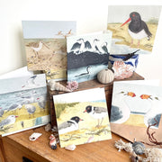 The Beach Birds - 6 Greeting Cards