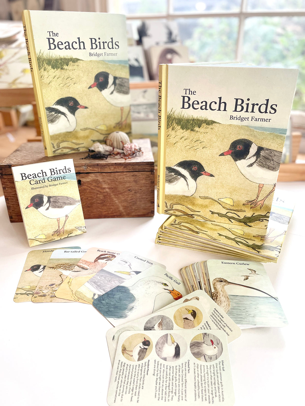 Book and Game Combo Deal - THE BEACH BIRDS