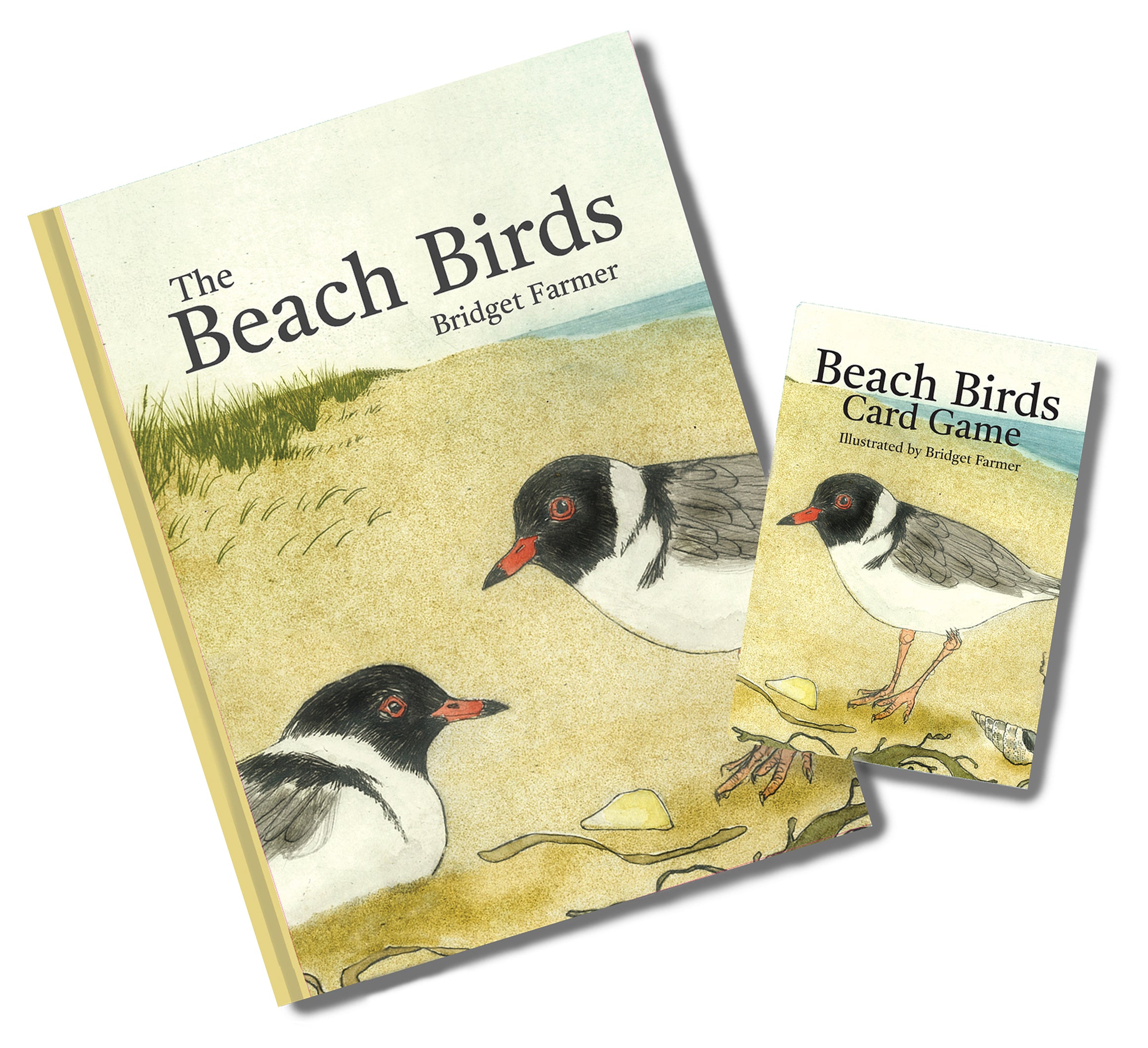 Book and Game Combo Deal - THE BEACH BIRDS