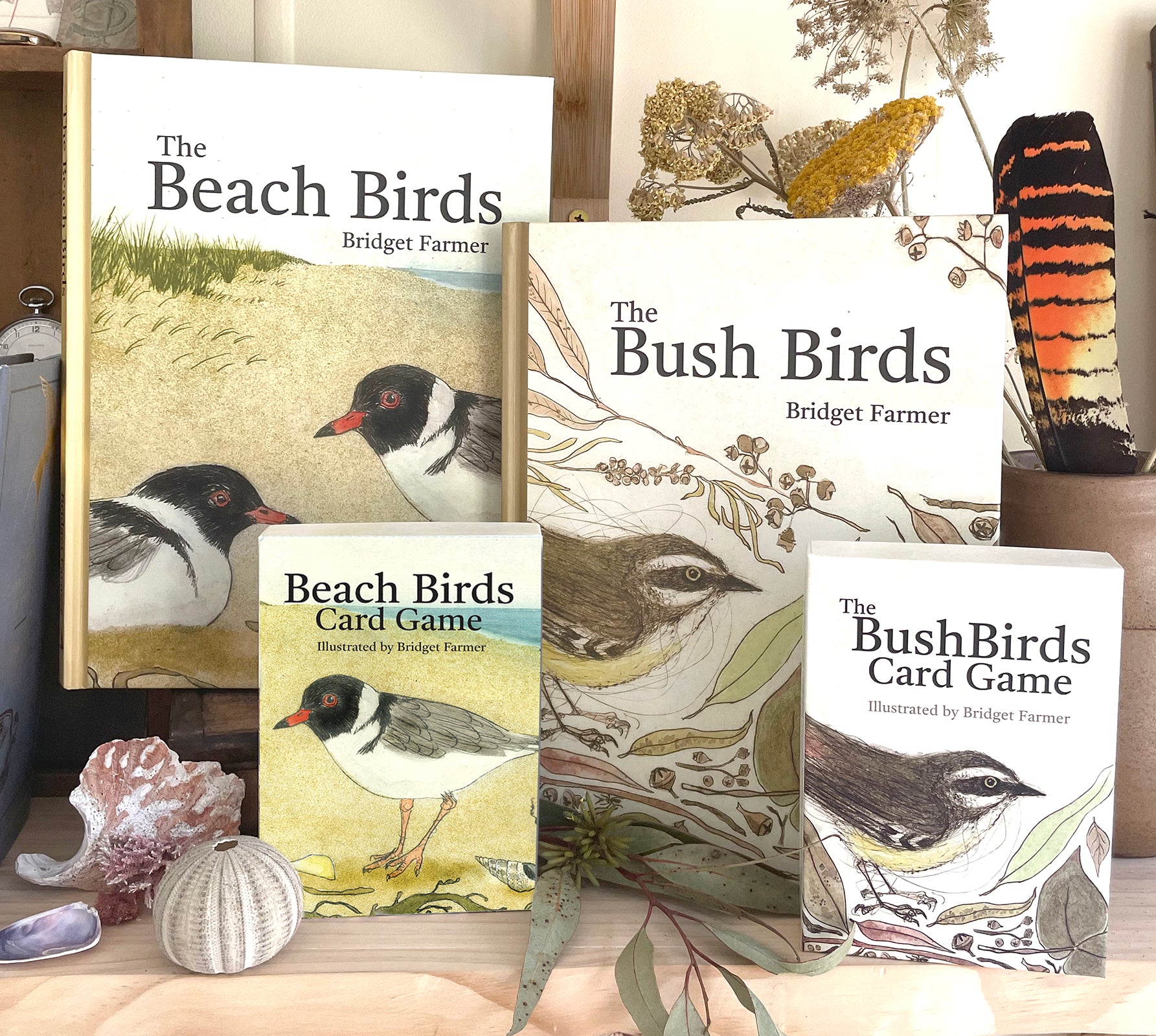 Books and Games Big BUNDLE - Both THE BEACH BIRDS and THE BUSH BIRDS Books and Games