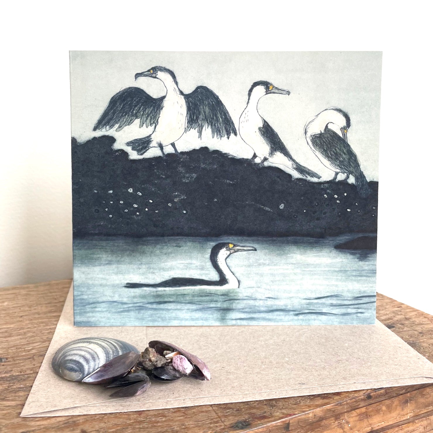 Greeting Card - Pied Cormorant