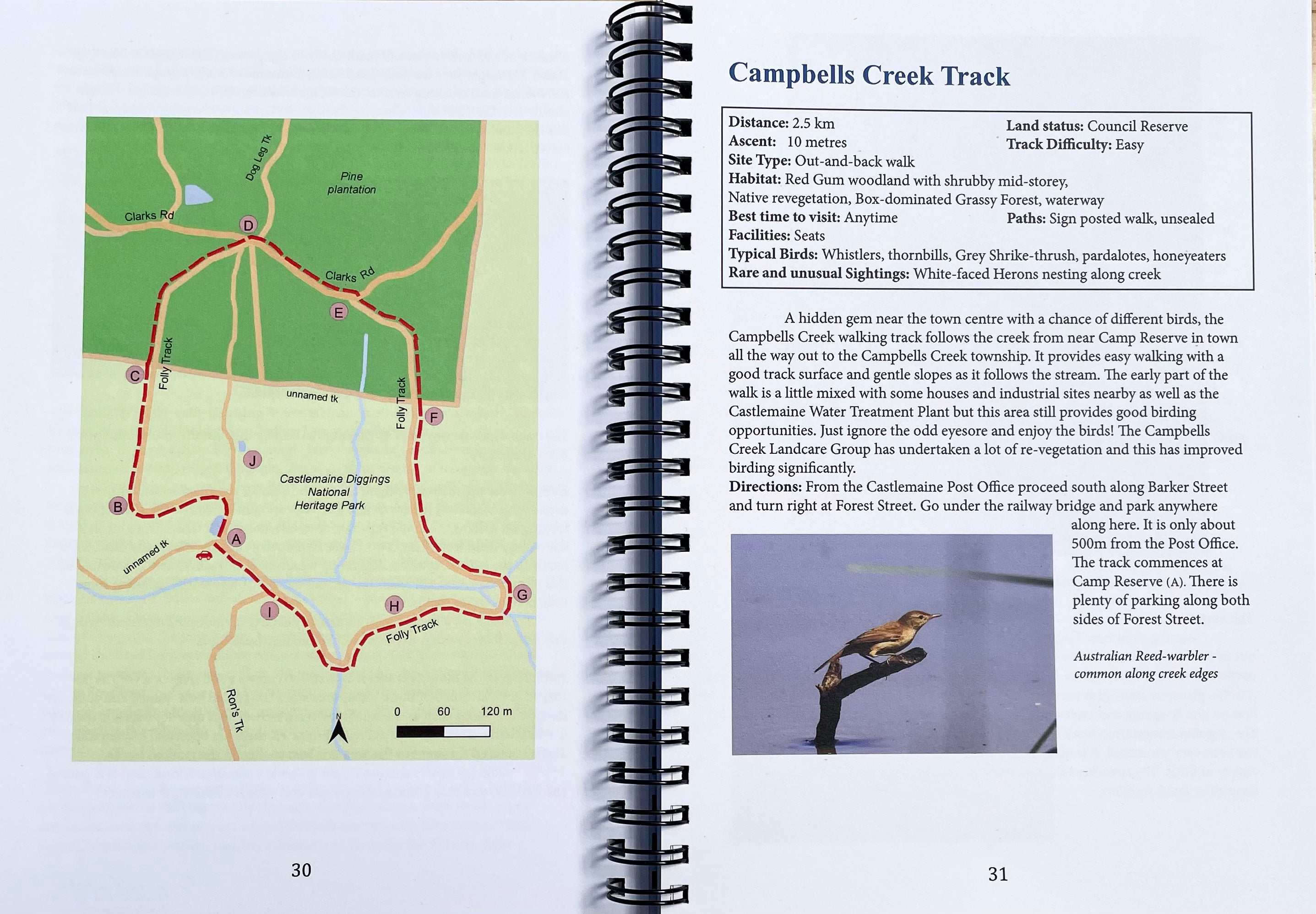 Book - Castlemaine Bird Walks by Damian Kelly