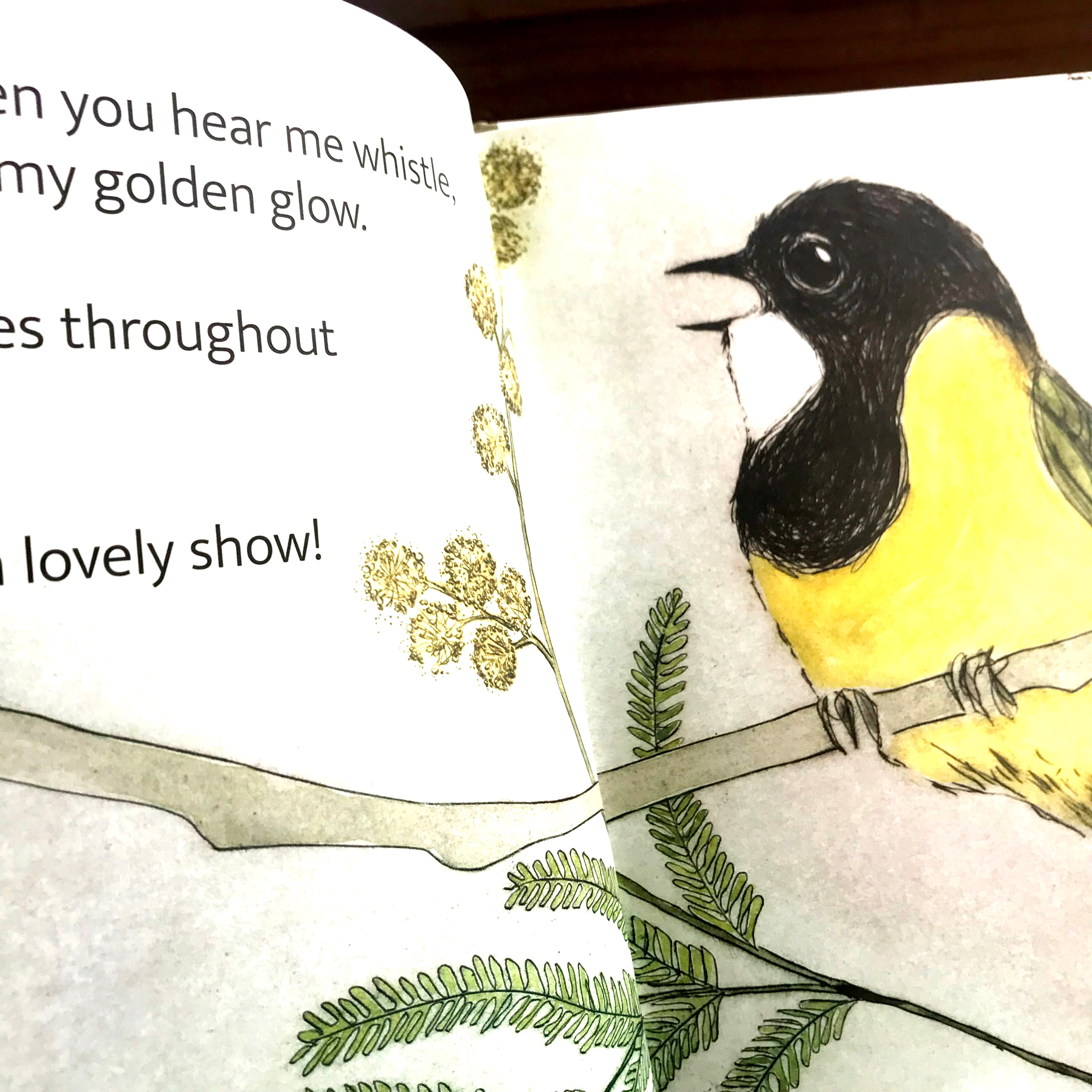 Book - THE BUSH BIRDS
