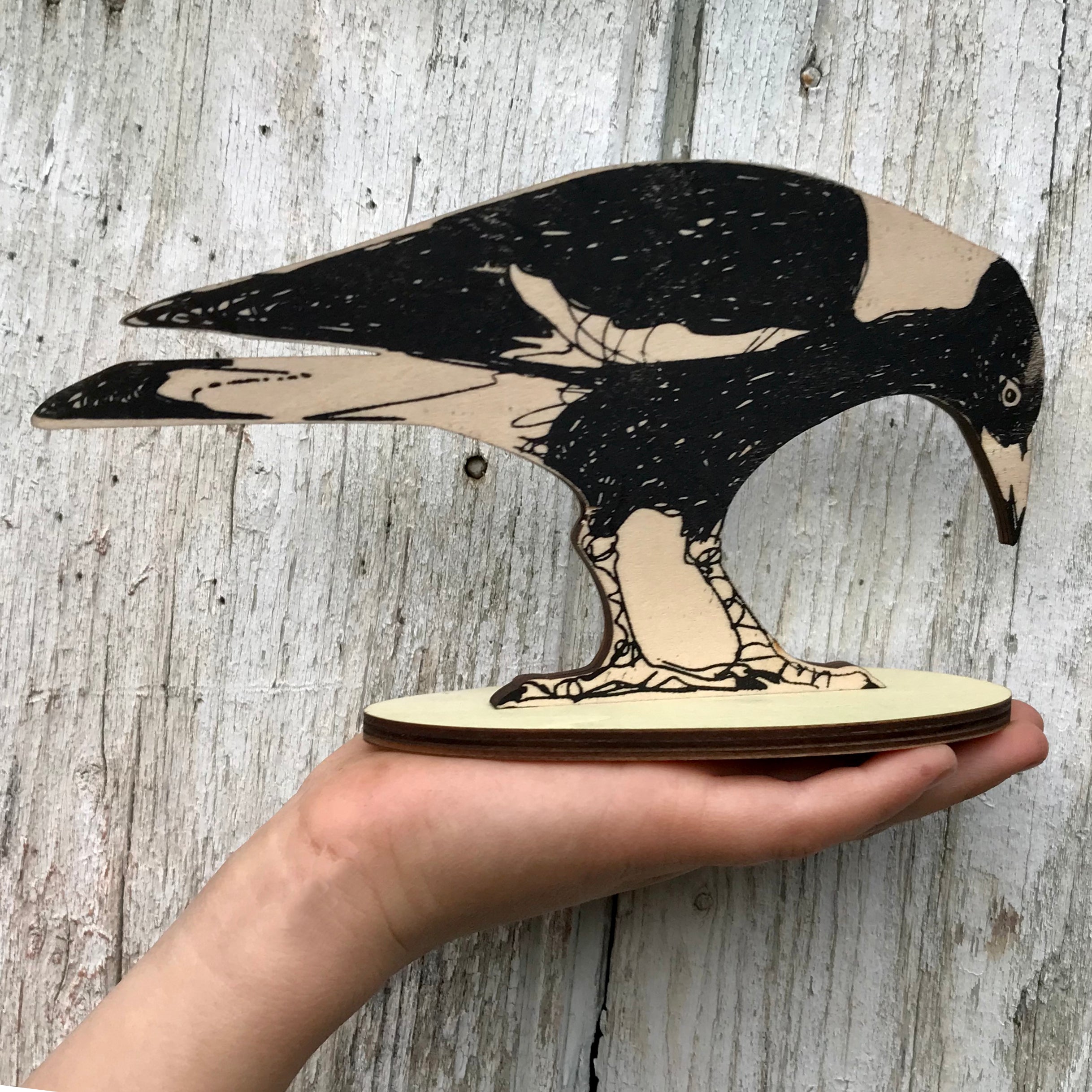 Standing Bird - Australian Magpie