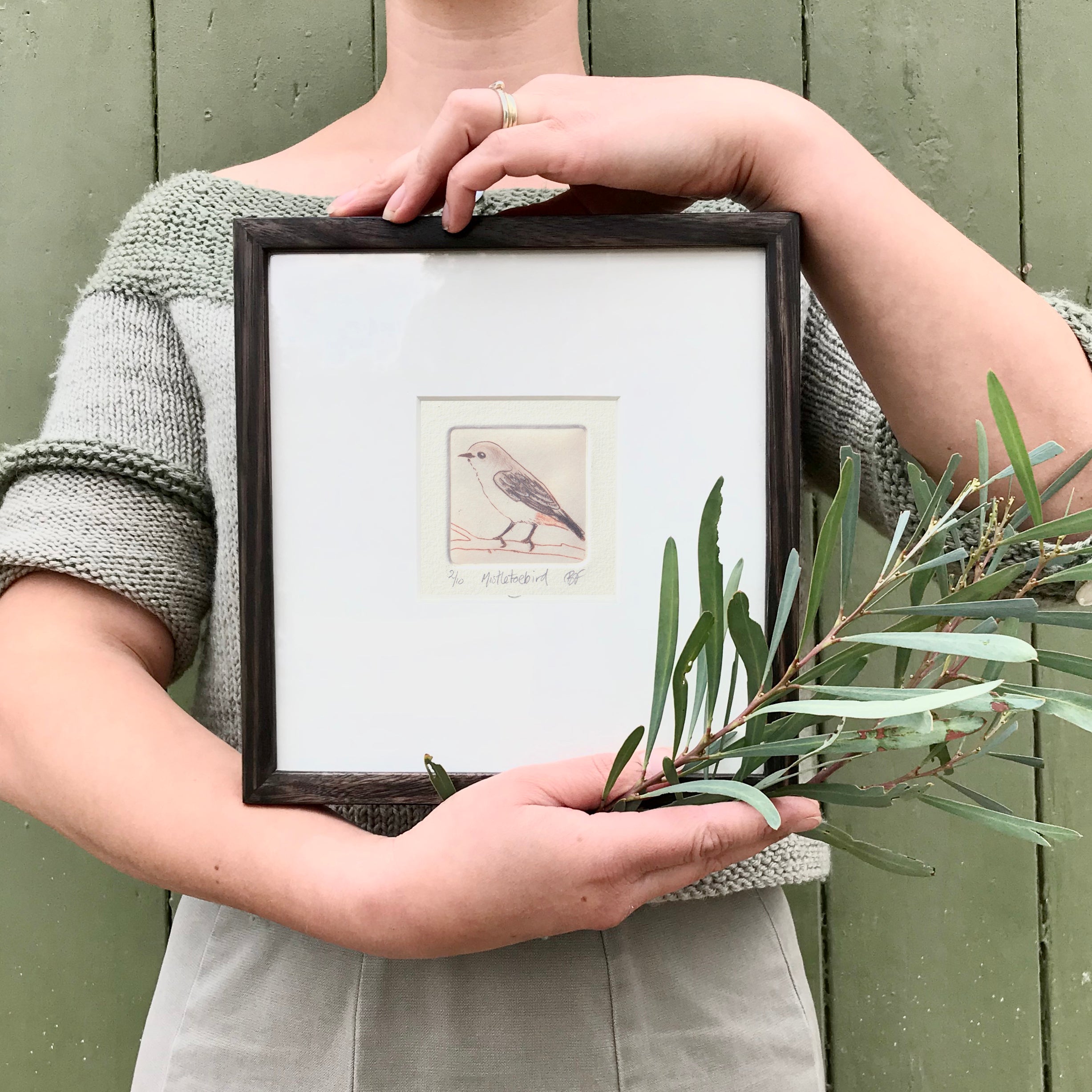 Original Etching - Mistletoebird