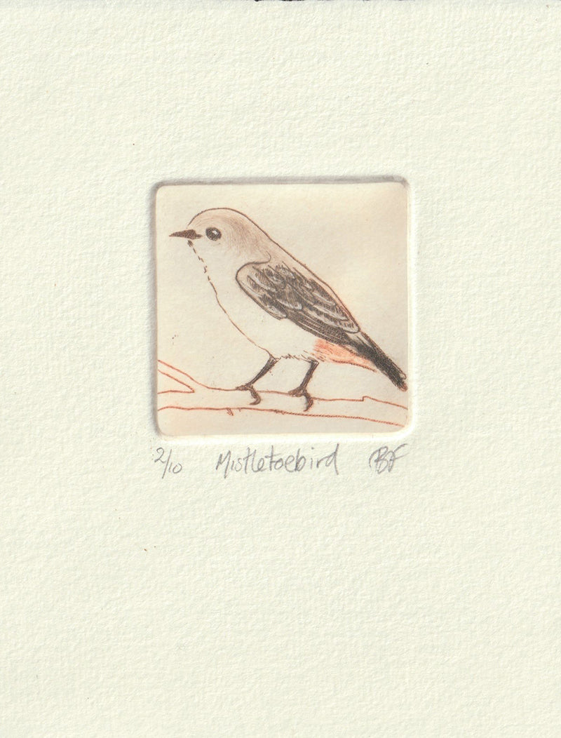 Original Etching - Mistletoebird