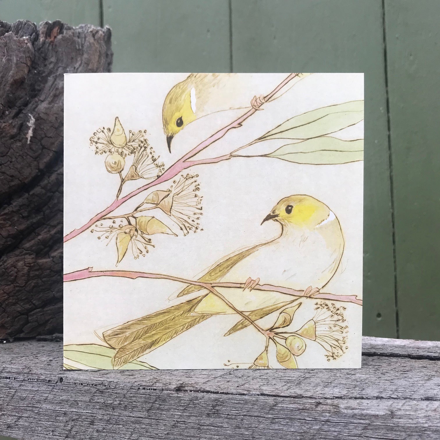 Greeting Card - White-plumed Honeyeaters