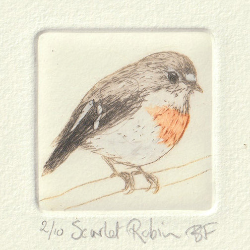 Original Etching - Scarlet Robin