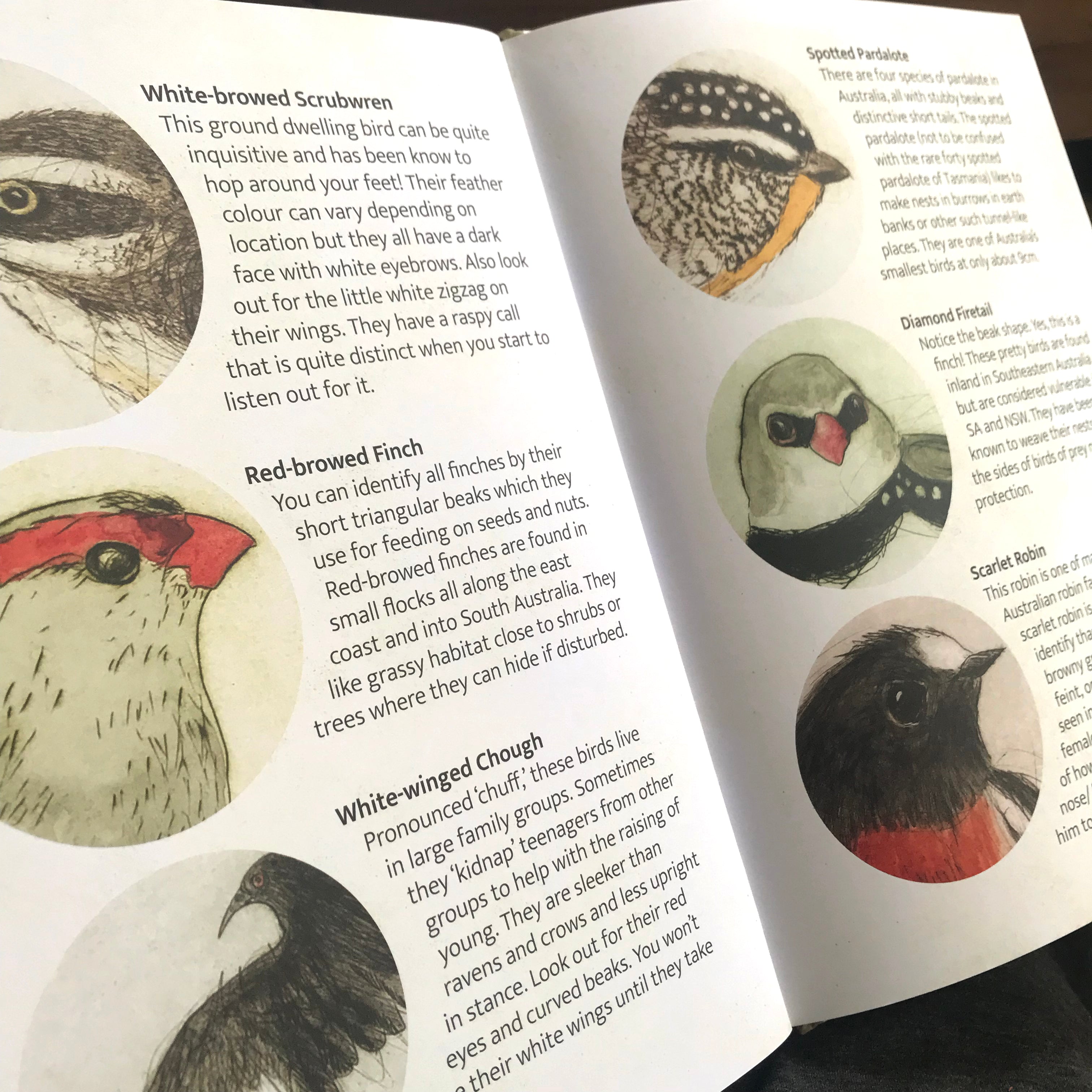 Book - THE BUSH BIRDS